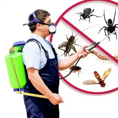 pest control Sonora